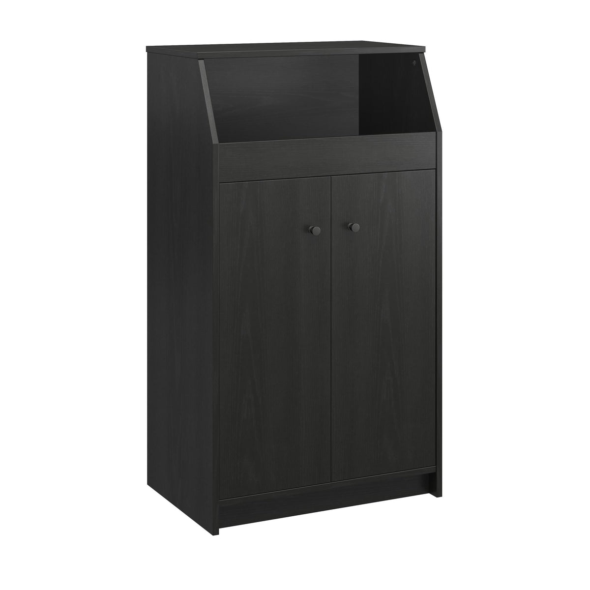 2-Door Storage Tower with Shelves – Black — product photo