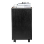2-Drawer Rolling File Cabinet with Lock – Brown/Black — product photo