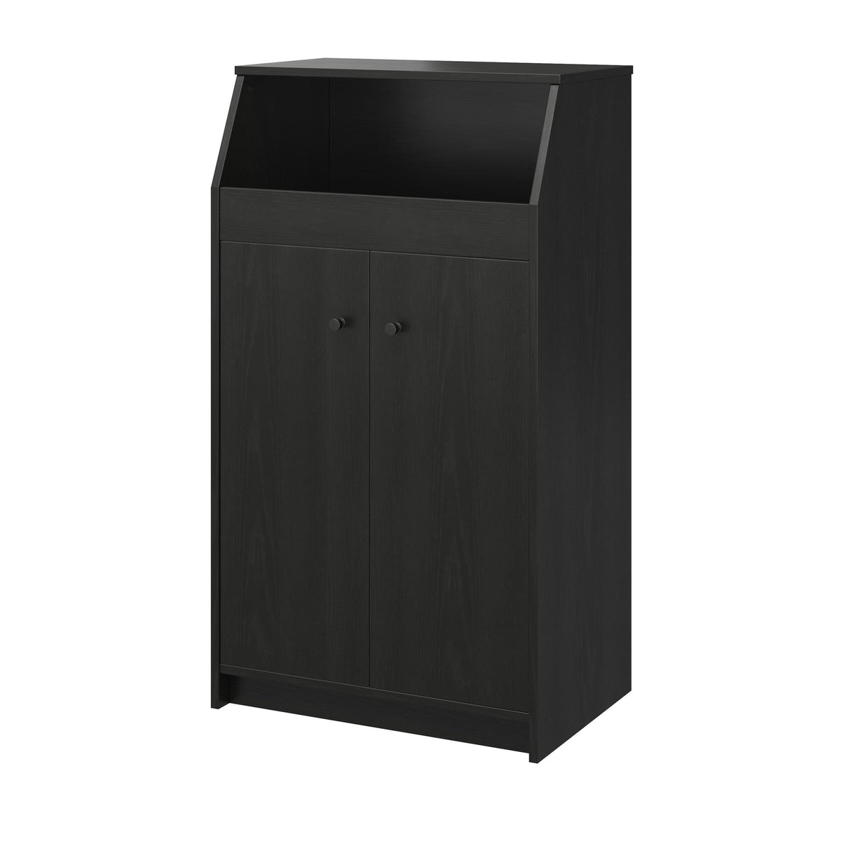 2-Door Storage Tower with Shelves – Black — product photo