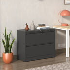 2-Drawer Lateral File Cabinet with Lock, Steel – Black — room view angled