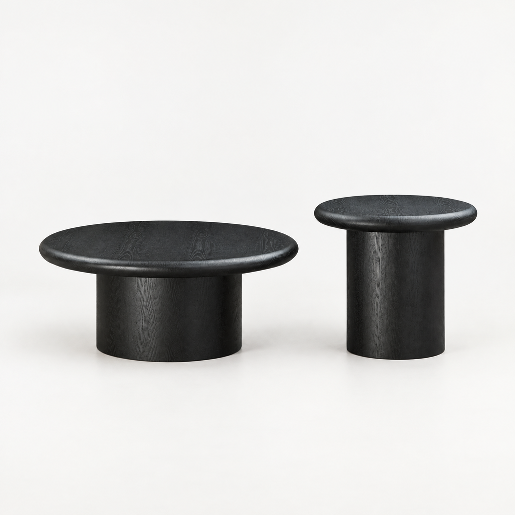 2-Piece Modern Round Coffee Table Set For Living Room,Easy Assembly Coffee Tables, End Side Tables For Leisure Area,Office,Black — studio hero